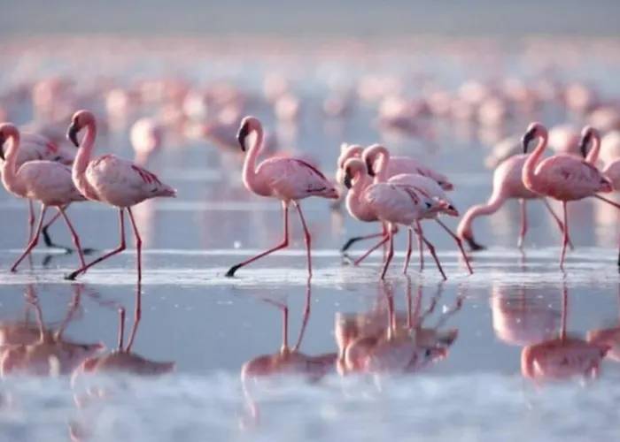 Casa Torre Y Sol With Big Terrace & Swimming Pool Σπίτι διακοπών *