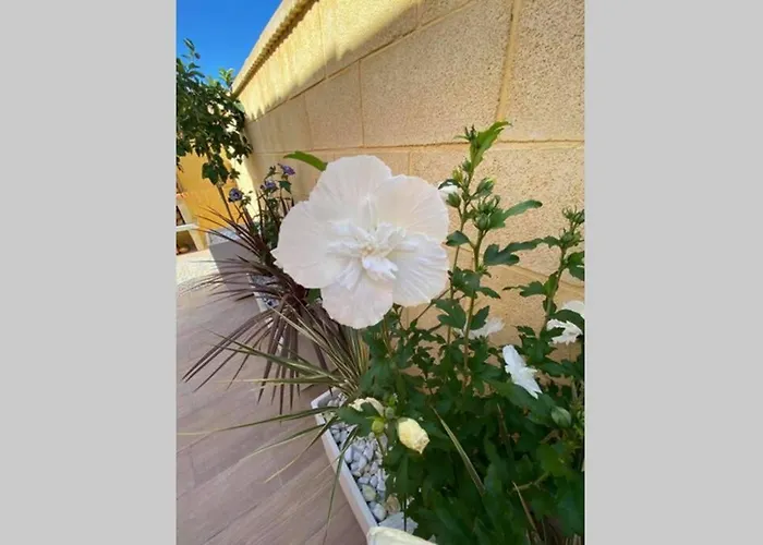 Casa Torre Y Sol With Big Terrace & Swimming Pool Dom wakacyjny *