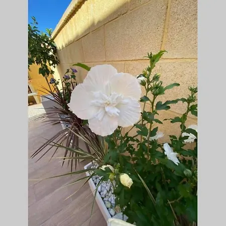 Casa Torre Y Sol With Big Terrace & Swimming Pool 度假居 *